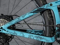 DyedBro Cats Rammefolie – Sort -Cykel Salgsbutik 70I2581 1024x1024@2x