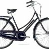 Raleigh Tourist De Luxe Dame 3g/7g Kongeblå -Cykel Salgsbutik raleigh tourist de luxe dame nexus 3g fod tromle kongebl m. guld cykel basen dk